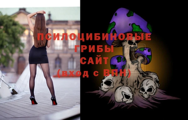 стаф Аркадак