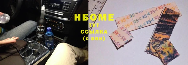 стаф Аркадак