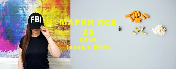 стаф Аркадак