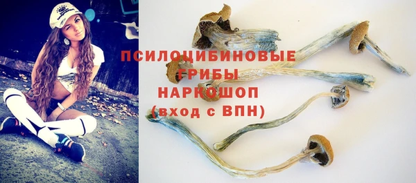 скорость Горно-Алтайск