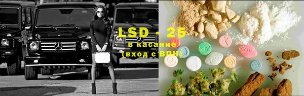 ПСИЛОЦИБИНОВЫЕ ГРИБЫ Алзамай